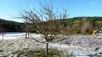 P1040470.JPG