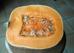 IMG_1364 web.jpg