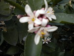 DSCN0219.JPG
