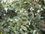 DSCN0220.JPG