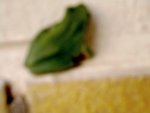 DSCN0221.JPG