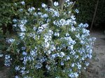DSCN0026.JPG
