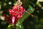 IMG_3126_1.jpg