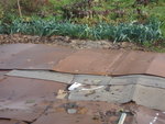 paillage plus cartons=terre bien au chaud!
