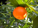 DSCN0227.JPG