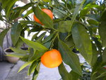 DSCN0228.JPG