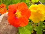 DSCN0250.JPG
