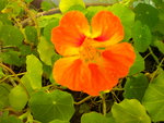 DSCN0249.JPG