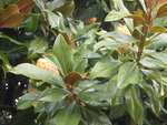 id1.jpg