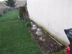 Potager 2010 007.JPG