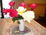 DSCN0242.JPG