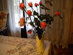 DSCN0240.JPG