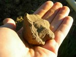 résultat quand la terre est mouillée