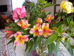 DSCN0247.JPG