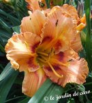 15 juin 2009 3 026.jpg