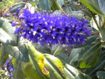 DSCN0235.JPG