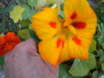 DSCN0231.JPG