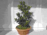 DSCN5027.JPG