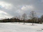 DSC02181.JPG