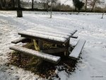 DSC02193.JPG
