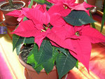 DSCN3904.JPG
