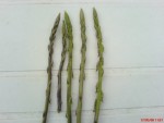 asperges