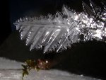 20091223_132  jinf.jpg