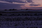 DSC_8567_162 jinf.jpg