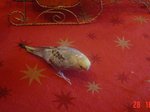 DSC04480.JPG