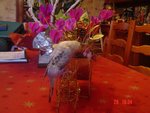 DSC04483.JPG