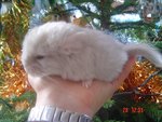 DSC04476.JPG
