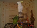 DSC04486.JPG