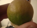 DSC02256.JPG