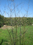IMG_5180.JPG