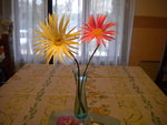 DSCN0286.JPG