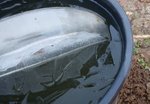 20100105_72 jinf.jpg