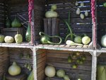2009-09 116 (Small).JPG