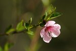 meh-dsc_6126.jpg