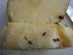 DSC00179.JPG