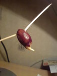 voici le litchi qui a poussée en 1 semaine et demi :) mais c'est une chance de l'avoir car j'ai fait des espérience avec 16 noyau litchi !!! pour instant aucune des 16 noyau ont germé