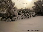 notre potager a eu sa dose d'engrais je pense !!!