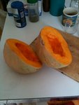 courge.jpeg