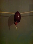 voila ca fait 2 semaines :)