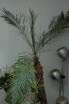 DSC_3586-1.jpg