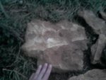 P200110_18.05.jpg