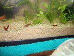 DSCF0091.JPG
