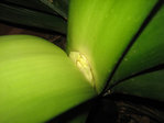 IMG_6534.JPG