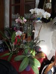 DSCF0129.JPG