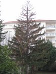 IMG_0292003webweb2.jpg