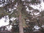 IMG_0302004webweb2.jpg